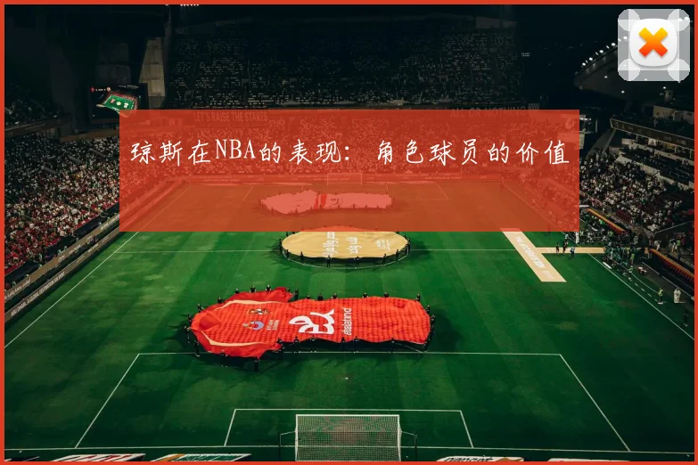 琼斯在NBA的表现：角色球员的价值