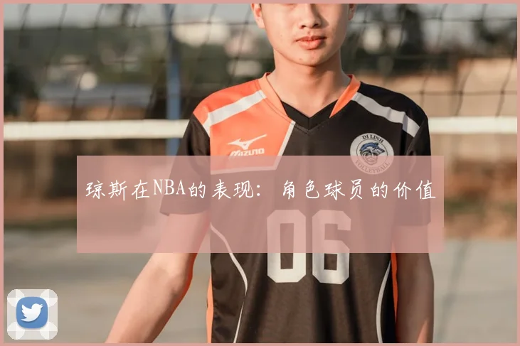 琼斯在NBA的表现：角色球员的价值